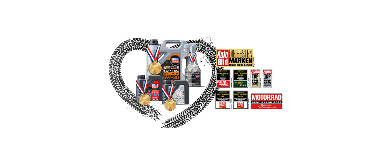 axess-liqui-moly-banner.png